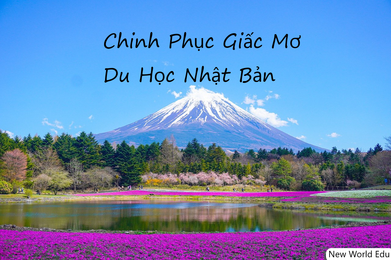 Chinh Phục Giấc Mơ Du Học Nhật Bản: 9 Bước Không Thể Bỏ Qua