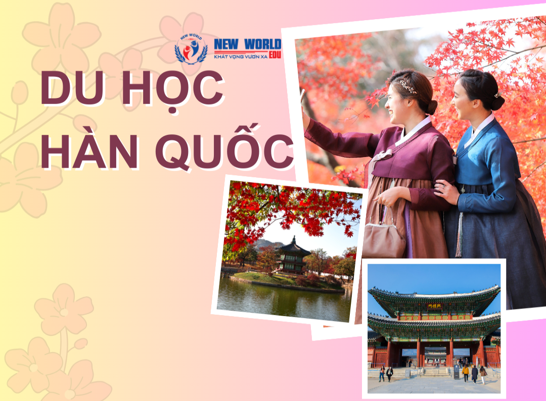 Du Học Hàn Quốc: Lựa Chọn Trường Đại Học Học Phí Rẻ Nhất Ở Seoul Cho Du Học Sinh