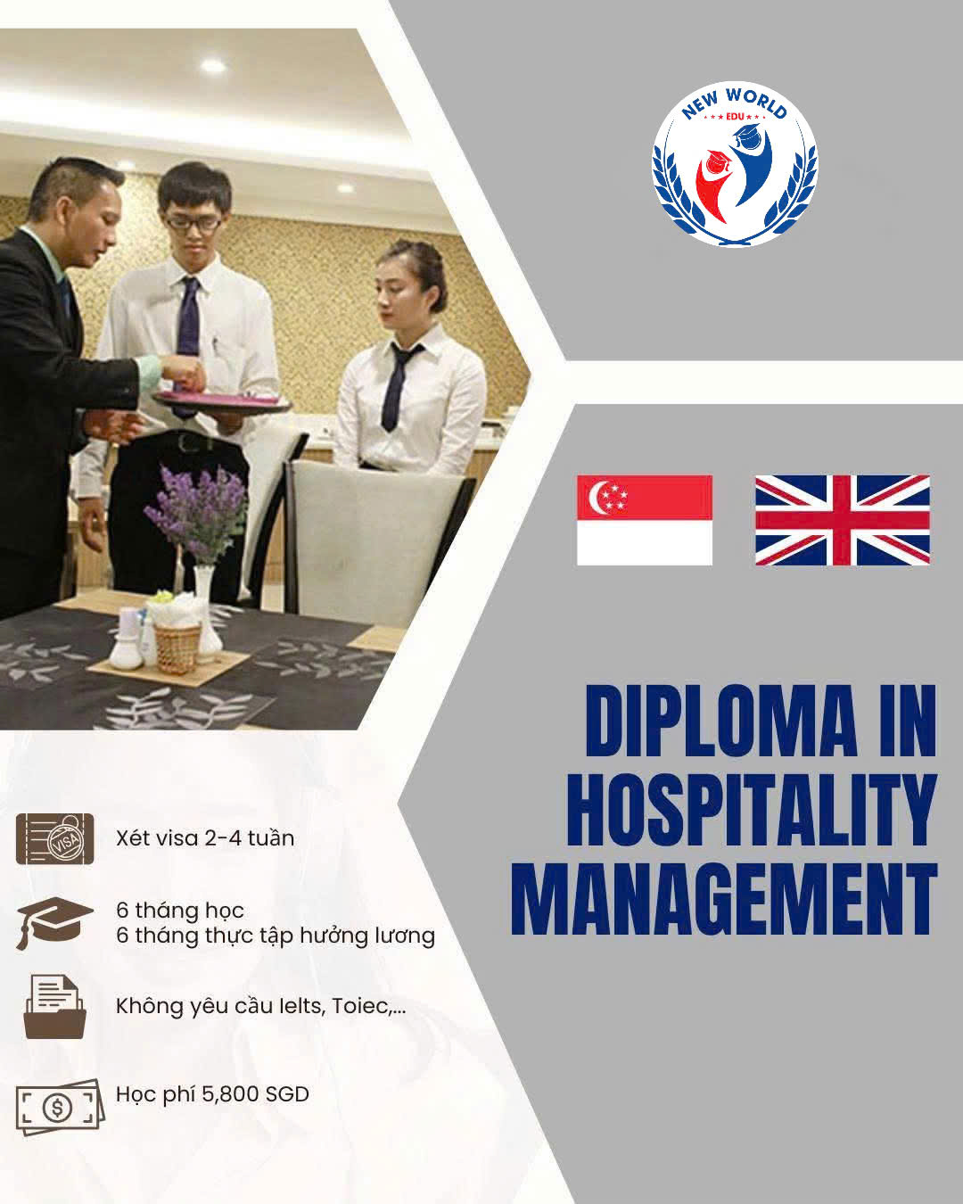 DU HỌC SINGAPORE - LỘ TRÌNH TOÀN DIỆN TỪ DU HỌC ĐẾN LẬP NGHIỆP